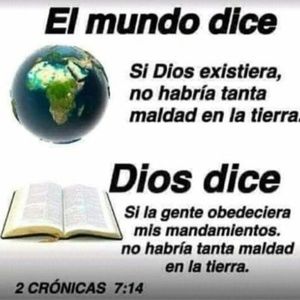 Meet your Posher, Gaby